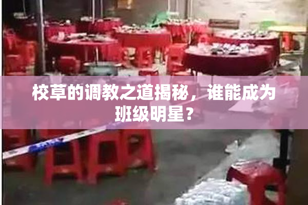 校草的调教之道揭秘，谁能成为班级明星？