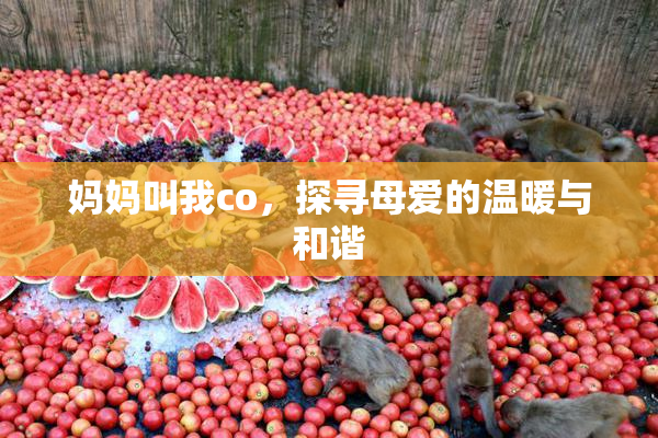 妈妈叫我co，探寻母爱的温暖与和谐