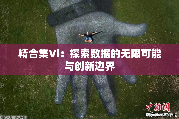 精合集Vi：探索数据的无限可能与创新边界