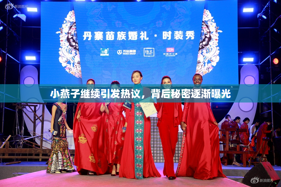 小燕子继续引发热议，背后秘密逐渐曝光