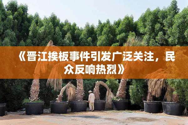 《晋江挨板事件引发广泛关注，民众反响热烈》