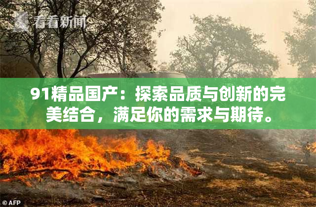 91精品国产：探索品质与创新的完美结合，满足你的需求与期待。