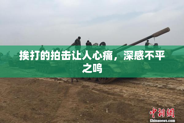 挨打的拍击让人心痛，深感不平之鸣