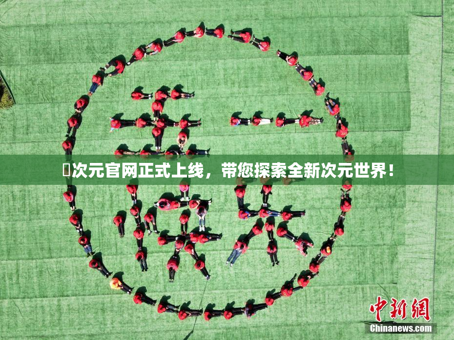 囧次元官网正式上线，带您探索全新次元世界！