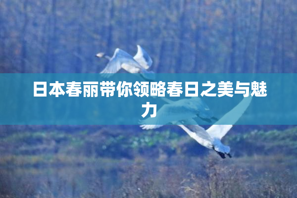 日本春丽带你领略春日之美与魅力