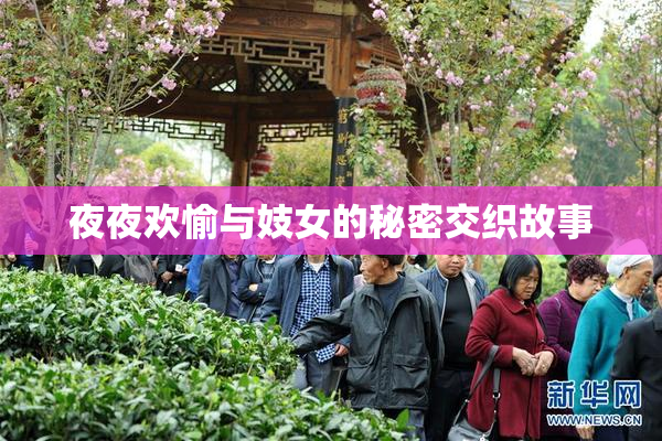 夜夜欢愉与妓女的秘密交织故事
