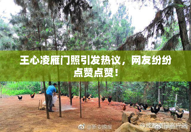 王心凌雁门照引发热议，网友纷纷点赞点赞！