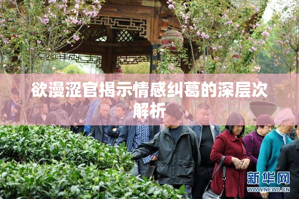 欲漫涩官揭示情感纠葛的深层次解析