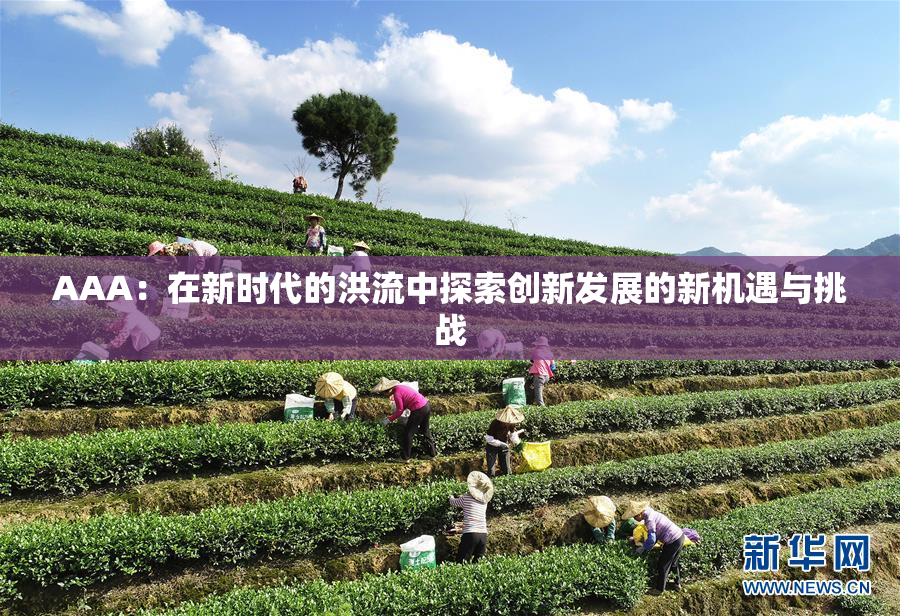 AAA：在新时代的洪流中探索创新发展的新机遇与挑战