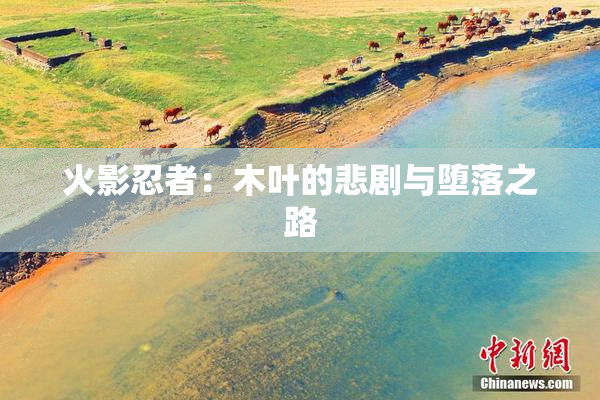 火影忍者：木叶的悲剧与堕落之路