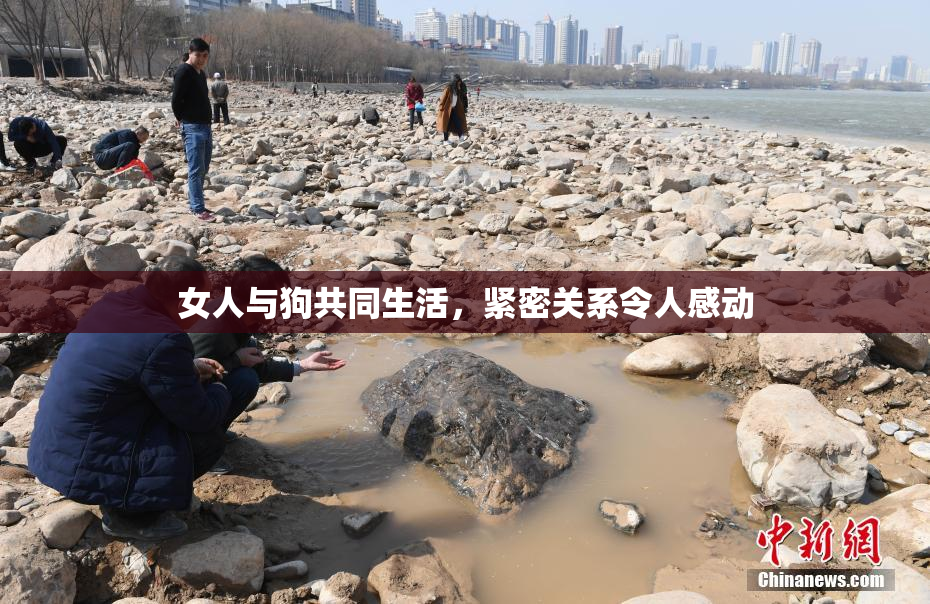 女人与狗共同生活，紧密关系令人感动
