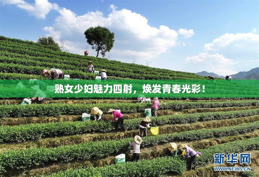 熟女少妇魅力四射，焕发青春光彩！