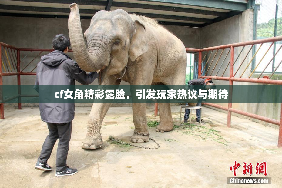 cf女角精彩露脸，引发玩家热议与期待