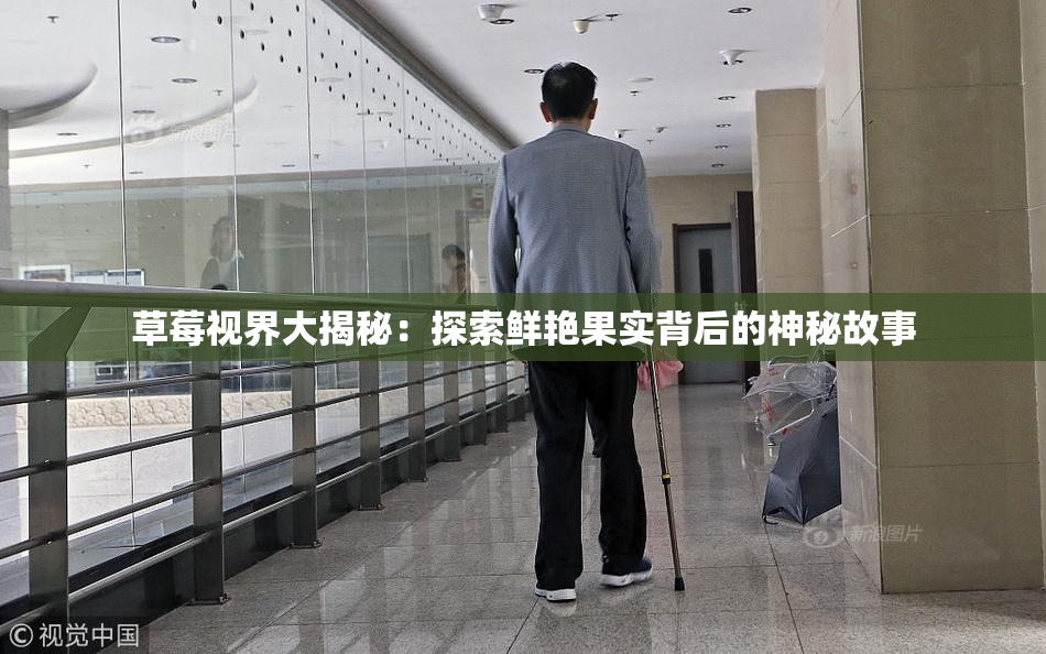 草莓视界大揭秘：探索鲜艳果实背后的神秘故事