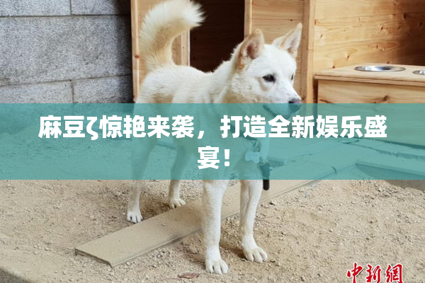 麻豆ζ惊艳来袭，打造全新娱乐盛宴！