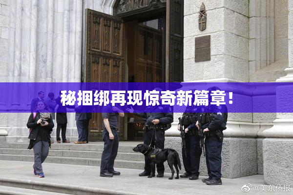 秘捆绑再现惊奇新篇章！