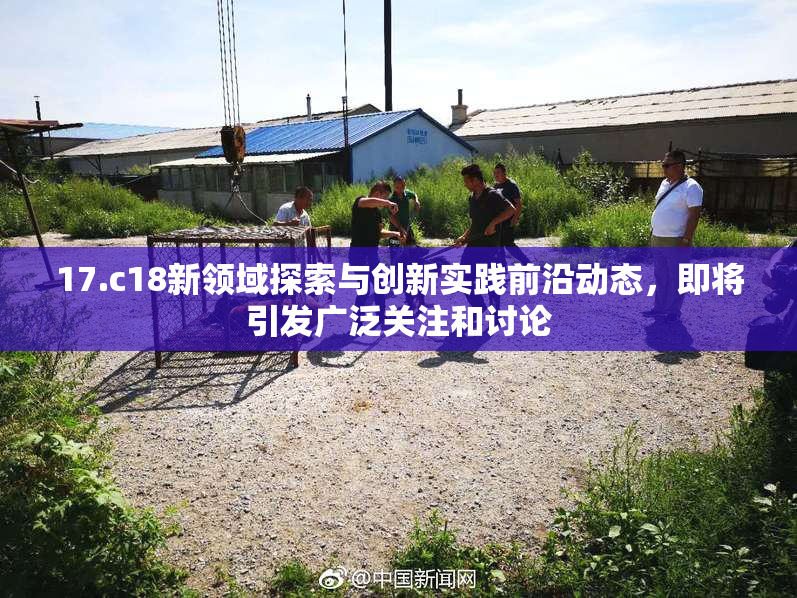 17.c18新领域探索与创新实践前沿动态，即将引发广泛关注和讨论