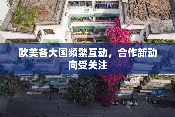 欧美各大国频繁互动，合作新动向受关注