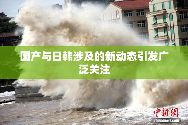 国产与日韩涉及的新动态引发广泛关注