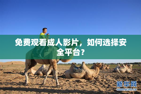 免费观看成人影片，如何选择安全平台？