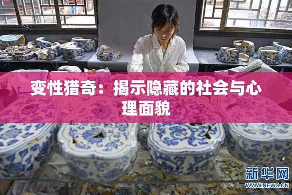 变性猎奇：揭示隐藏的社会与心理面貌
