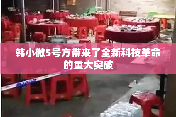 韩小微5号方带来了全新科技革命的重大突破