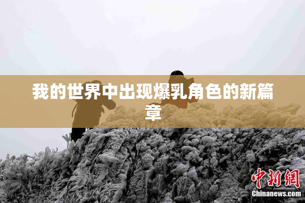 我的世界中出现爆乳角色的新篇章