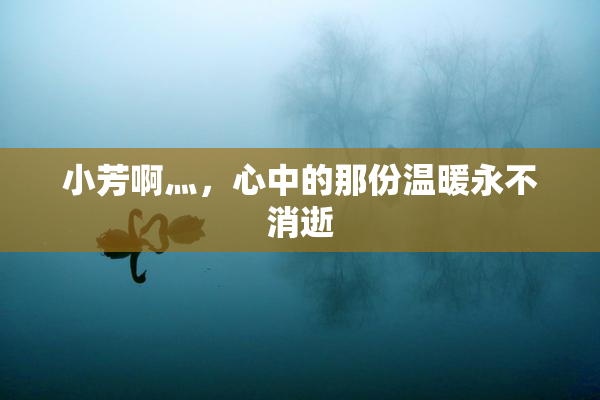 小芳啊灬，心中的那份温暖永不消逝
