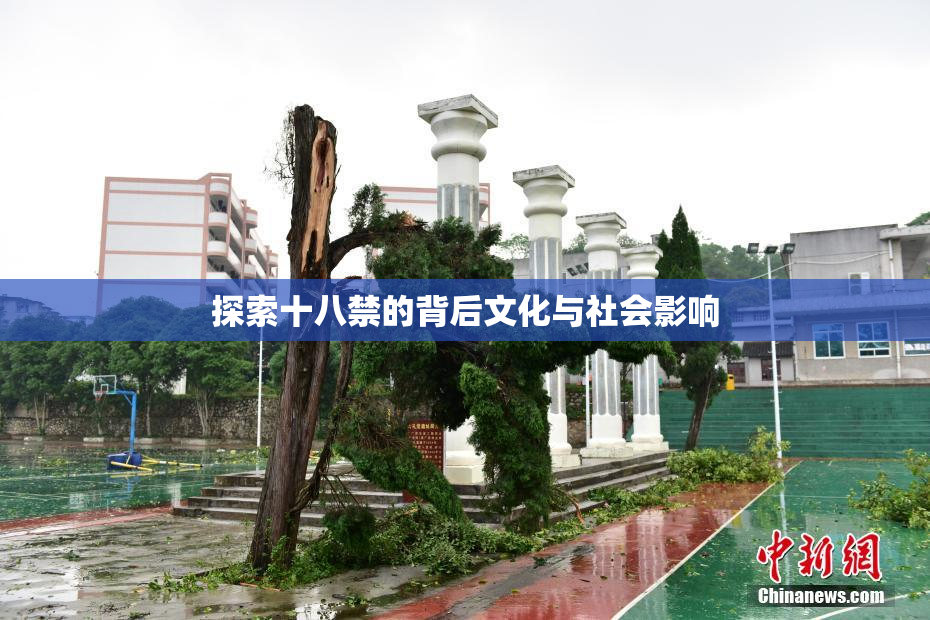 探索十八禁的背后文化与社会影响