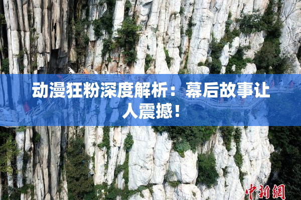 动漫狂粉深度解析：幕后故事让人震撼！