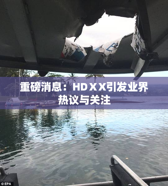 重磅消息：HDⅩX引发业界热议与关注