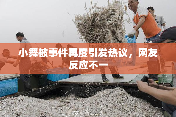 小舞被事件再度引发热议，网友反应不一
