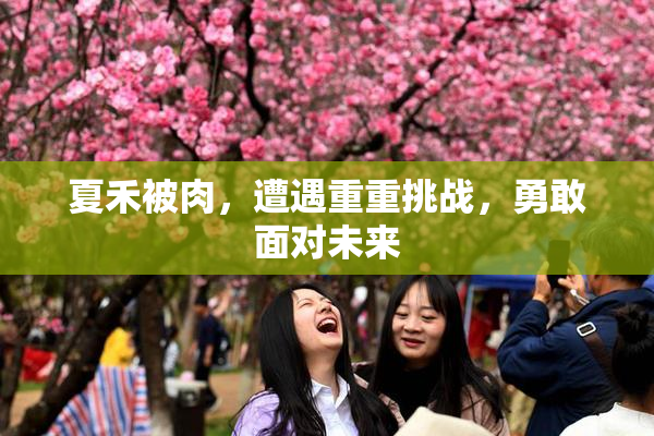 夏禾被肉，遭遇重重挑战，勇敢面对未来