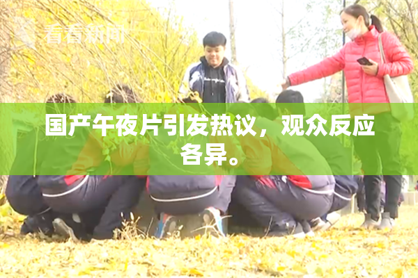 国产午夜片引发热议，观众反应各异。