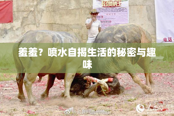 羞羞？喷水自揭生活的秘密与趣味