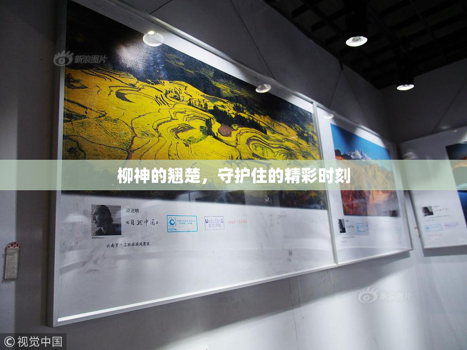 柳神的翘楚，守护住的精彩时刻