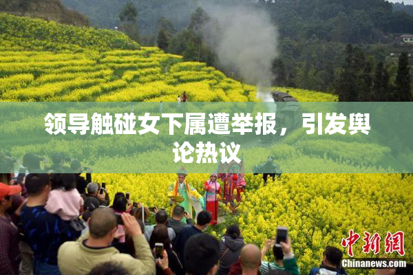 领导触碰女下属遭举报，引发舆论热议