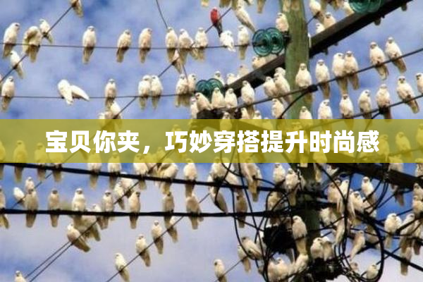 宝贝你夹，巧妙穿搭提升时尚感