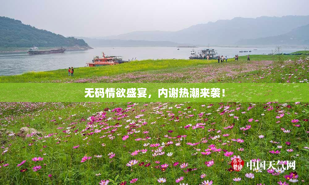 无码情欲盛宴，内谢热潮来袭！