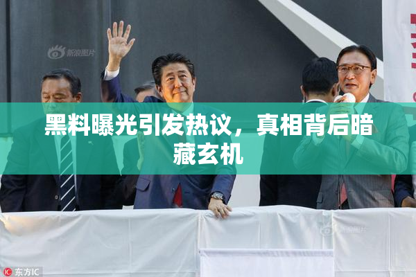 黑料曝光引发热议，真相背后暗藏玄机