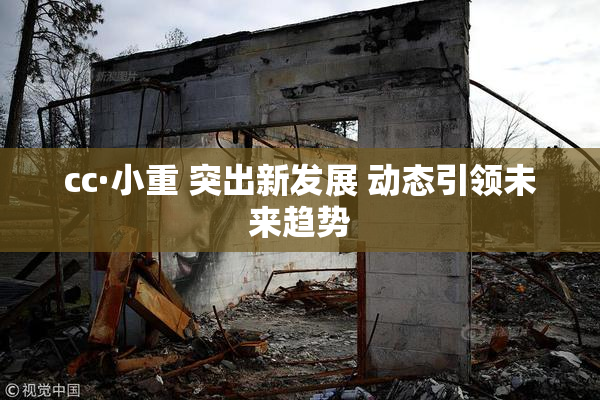 cc·小重 突出新发展 动态引领未来趋势