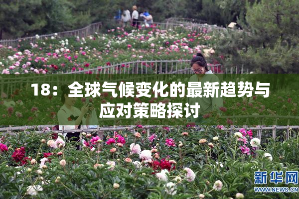 18：全球气候变化的最新趋势与应对策略探讨