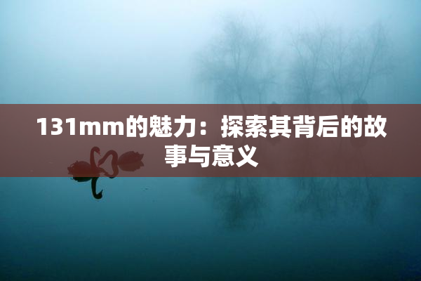 131mm的魅力：探索其背后的故事与意义