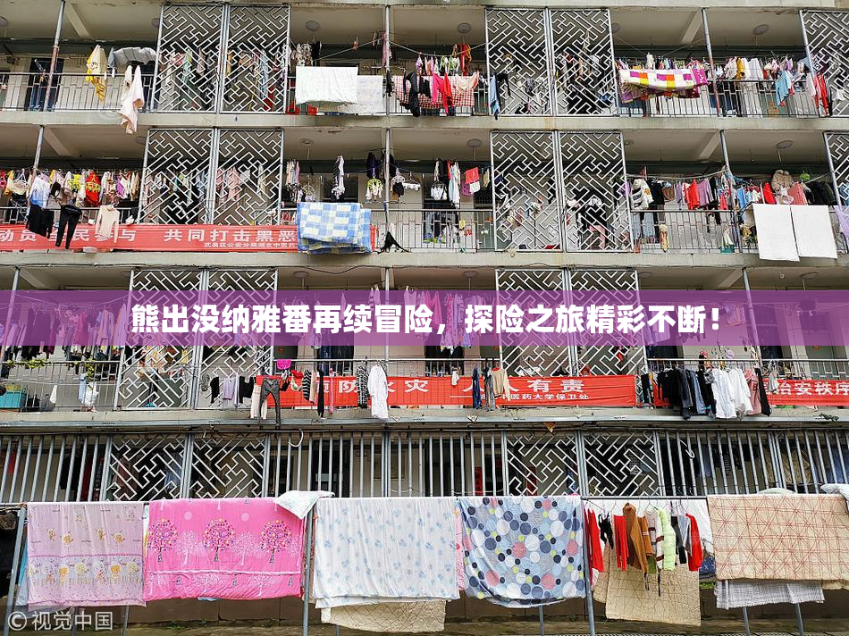 熊出没纳雅番再续冒险，探险之旅精彩不断！