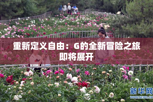 重新定义自由：G的全新冒险之旅即将展开