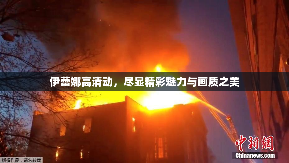 伊蕾娜高清动，尽显精彩魅力与画质之美