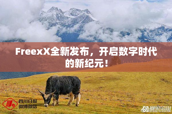 FreexX全新发布，开启数字时代的新纪元！
