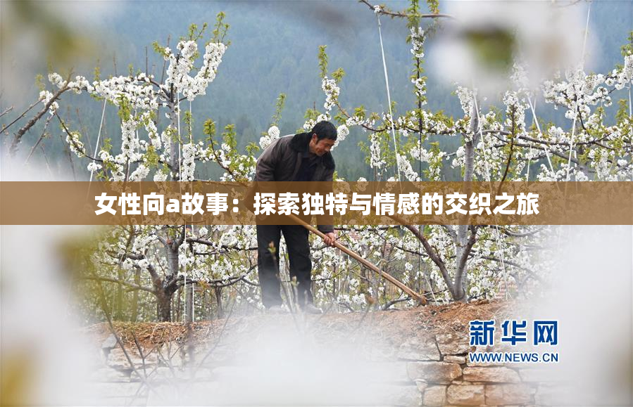 女性向a故事：探索独特与情感的交织之旅