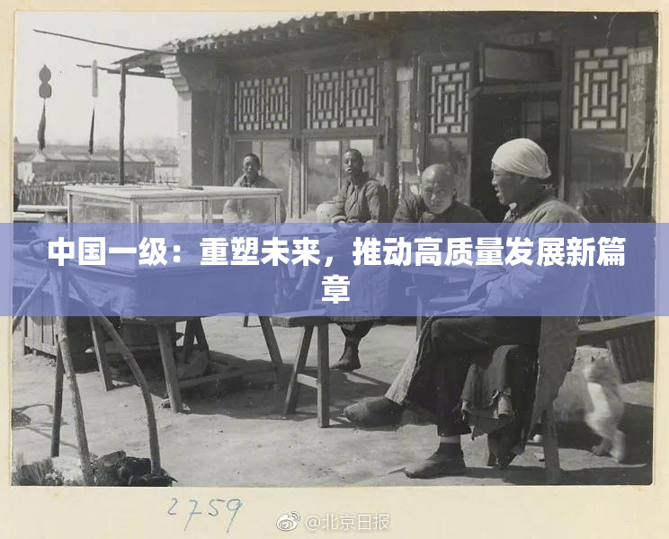 中国一级：重塑未来，推动高质量发展新篇章