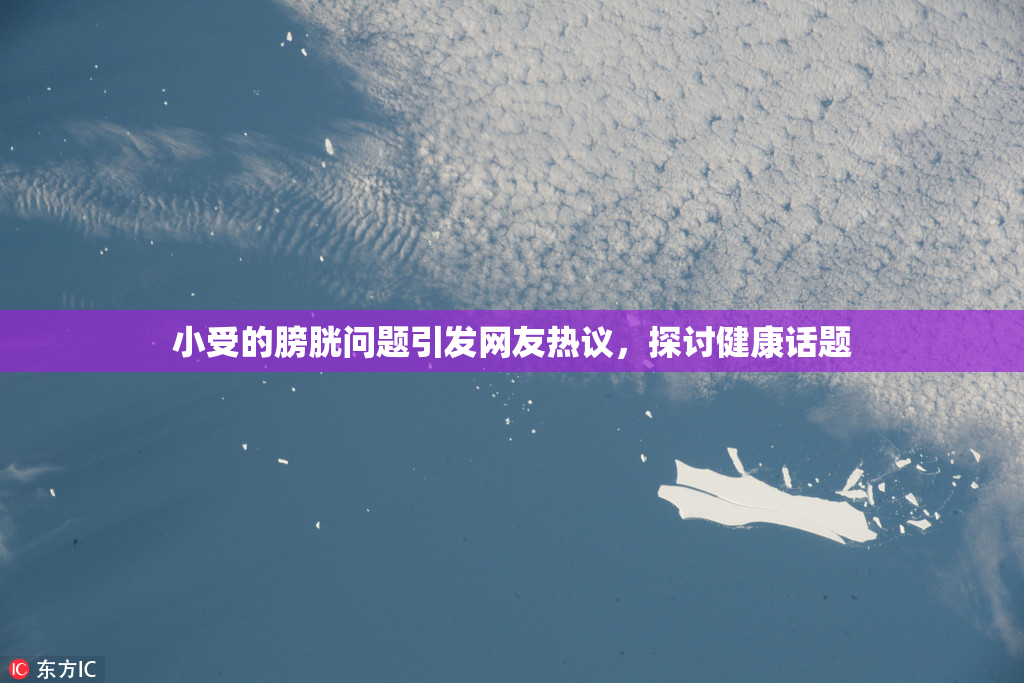 小受的膀胱问题引发网友热议，探讨健康话题